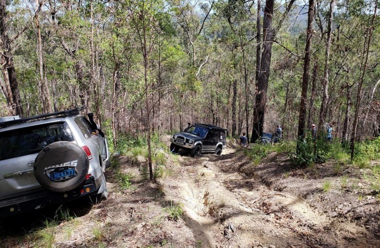 Nerang Forrest Trip 10/3/19