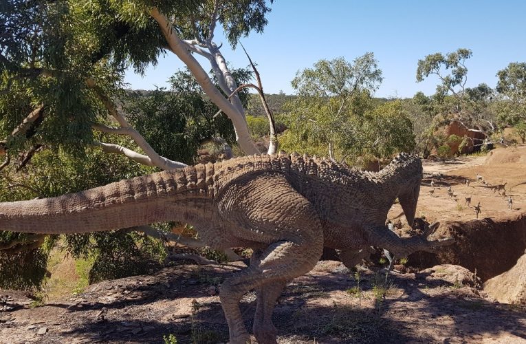 The Dinosaur Run – Trip Report 2018