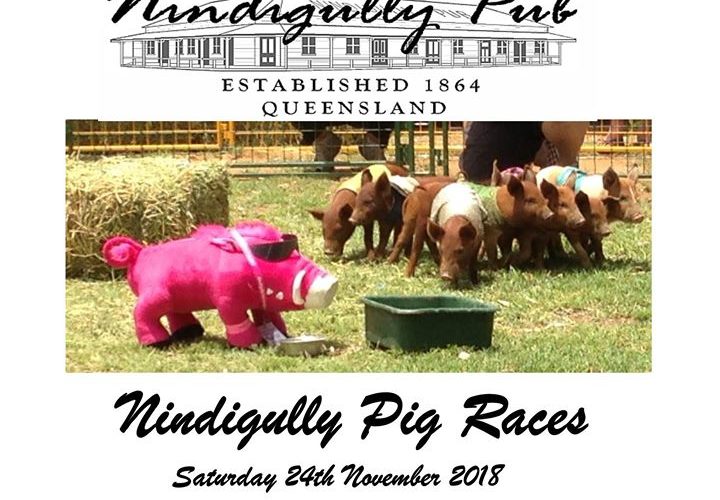 Nindigully Pig Races  (Sat 26th Nov)