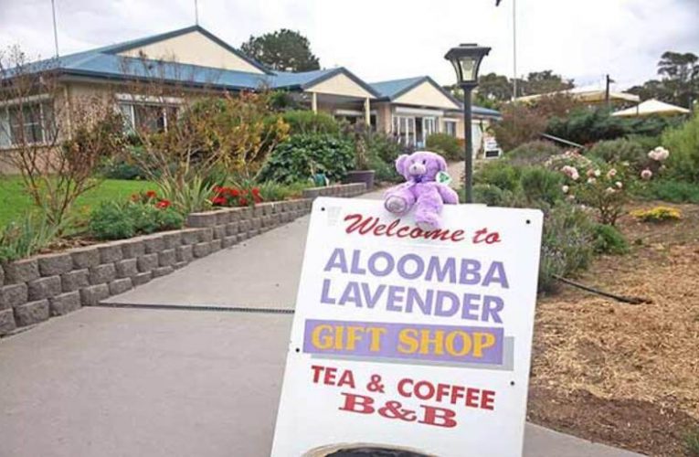 Aloomba Lavender Farm – Easter 2021